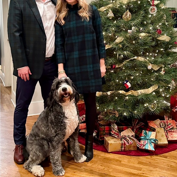 Tuckernuck Plaid Daphne Dress - Picture 4 of 5